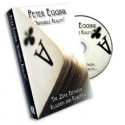 Invisible Reality Dvd by Peter Eggink